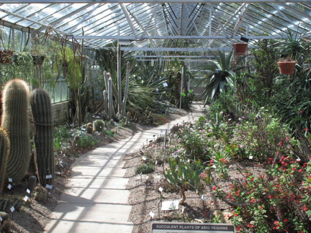 St Andrews Botanic Garden glass house