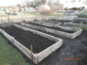 new-raised-beds-2-march-2017