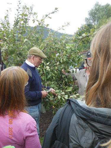 26 Aug - George Anderson - Pruning Workshop