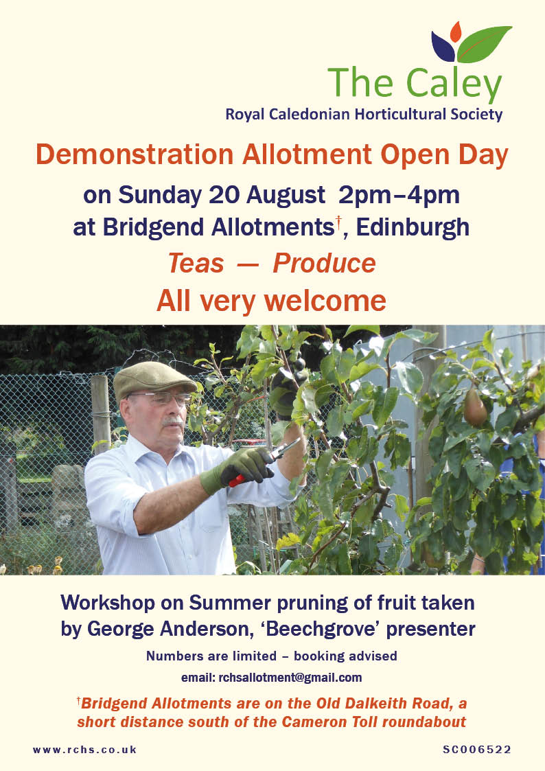 Allotment Open Day 2017