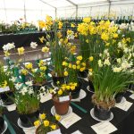 Only a week to go….