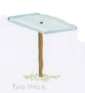 birdboxandtable_3