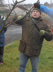 winter-fruit-pruning-2-copy