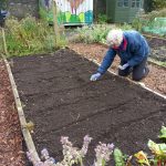 Tales from the allotment 17th October