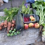 Bright and nippy on the allotment on Thursday