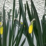 George was only away for a few days!