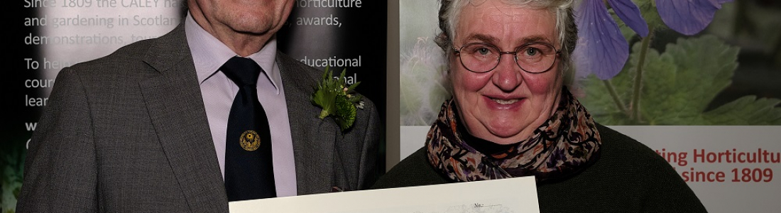 anne-webster-copy