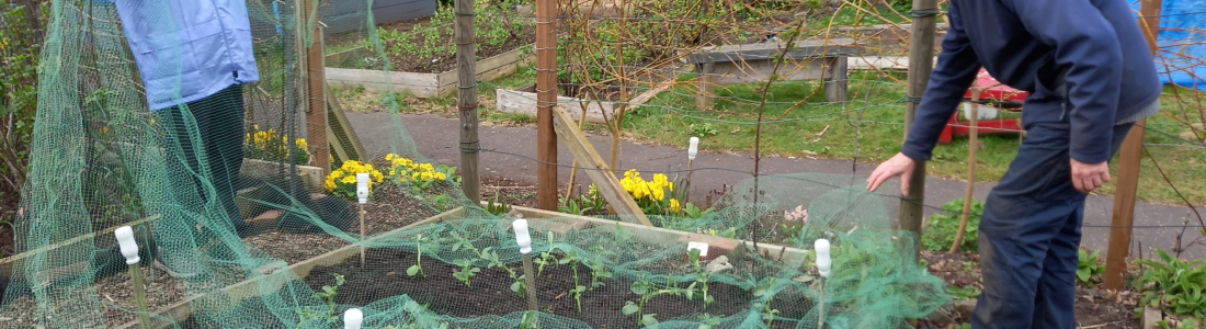 April allotment update