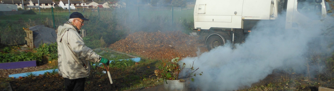 A chilly day on the allotment