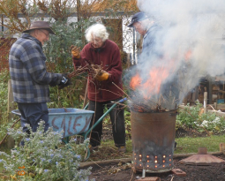 Back on the Allotment