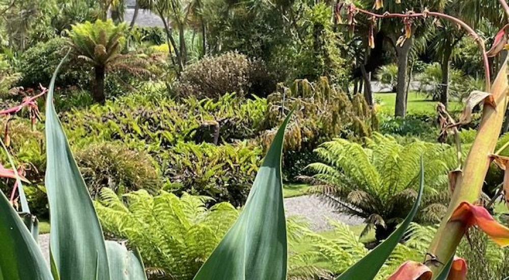 Logan Botanic Garden