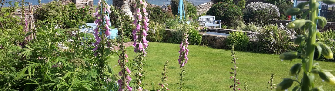 Diary of an Orkney Gardener – Mid-August 2018